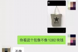 银行催收随便打电话：合理性与合规性探讨